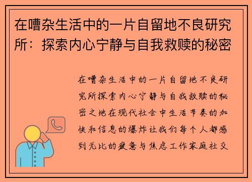 在嘈杂生活中的一片自留地不良研究所：探索内心宁静与自我救赎的秘密之地